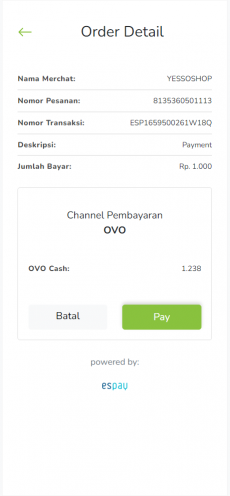 6 payment