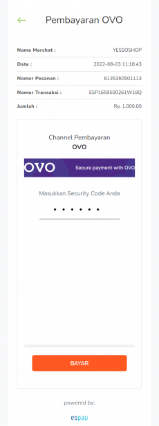 7 payment pin