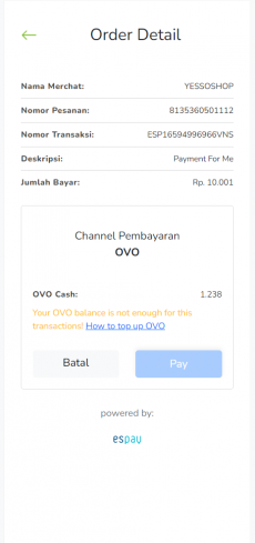 9 payment insufficient fund